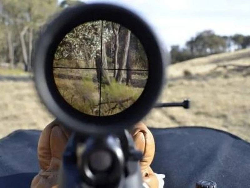 Optical Sight Reticles & Alignment