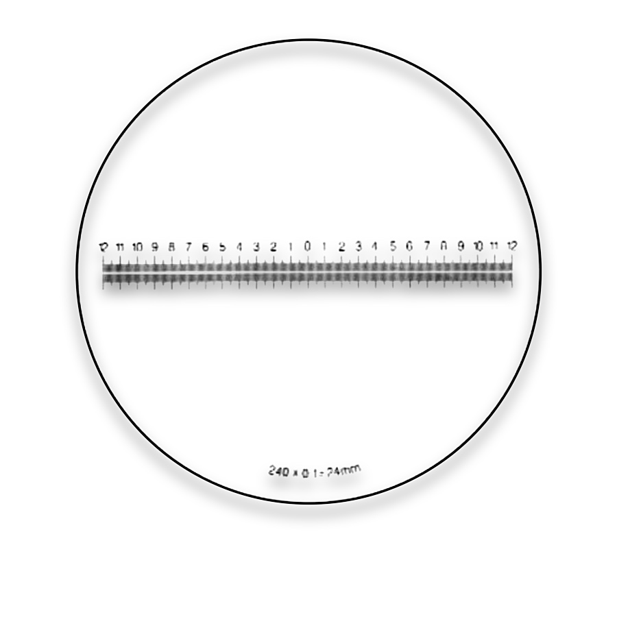 Eyepiece Micrometer Reticles — M6T10