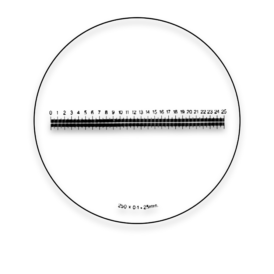 Eyepiece Micrometer Reticles — M6T1