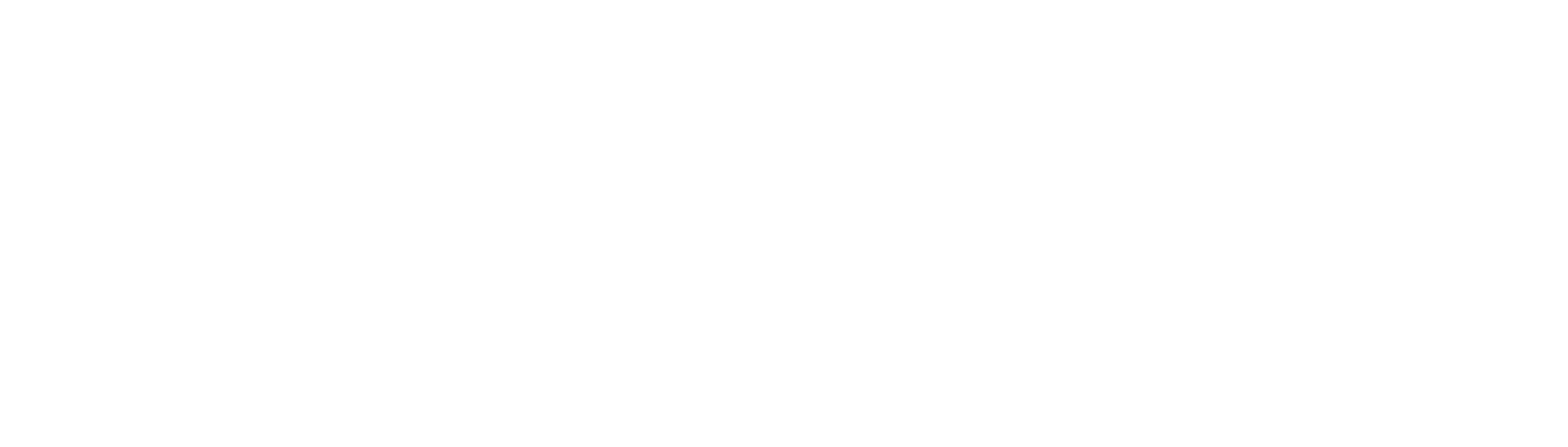 TL OPTIK
